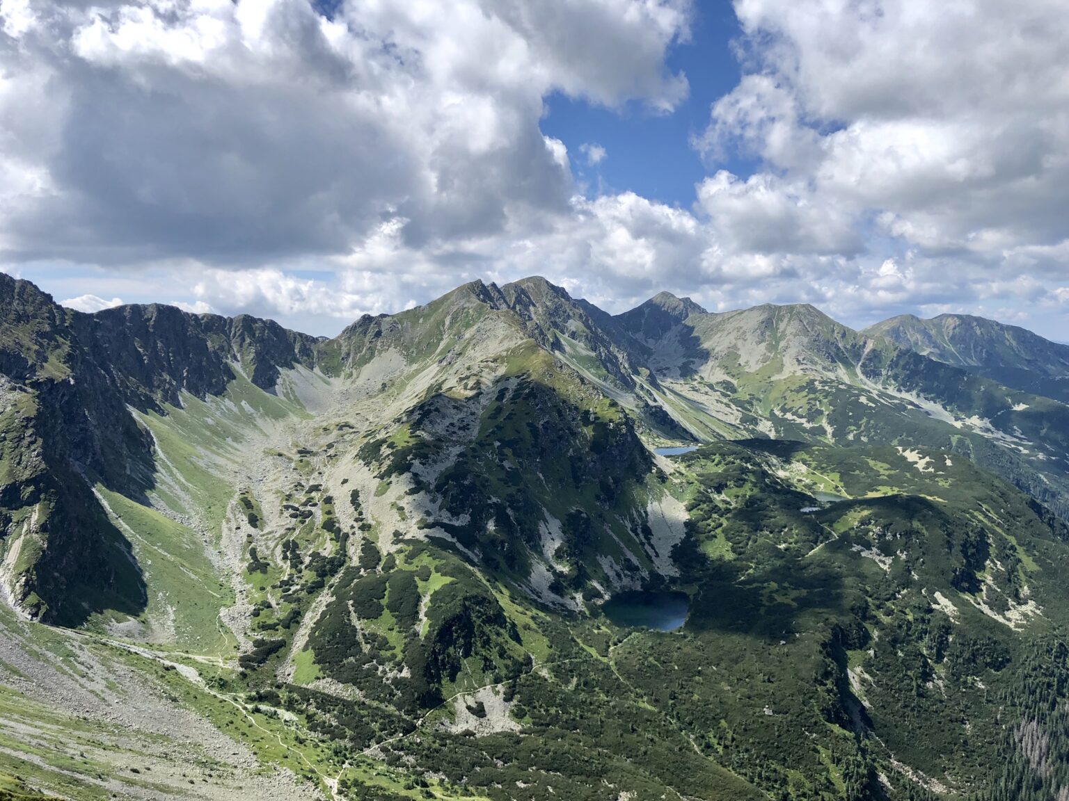 Roháče
