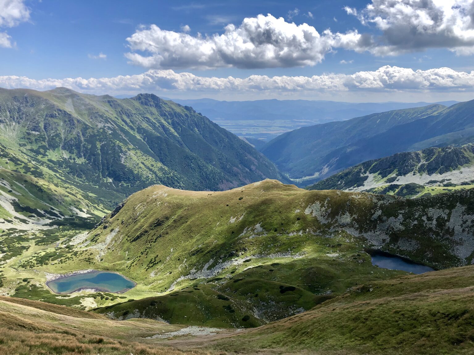 Roháče