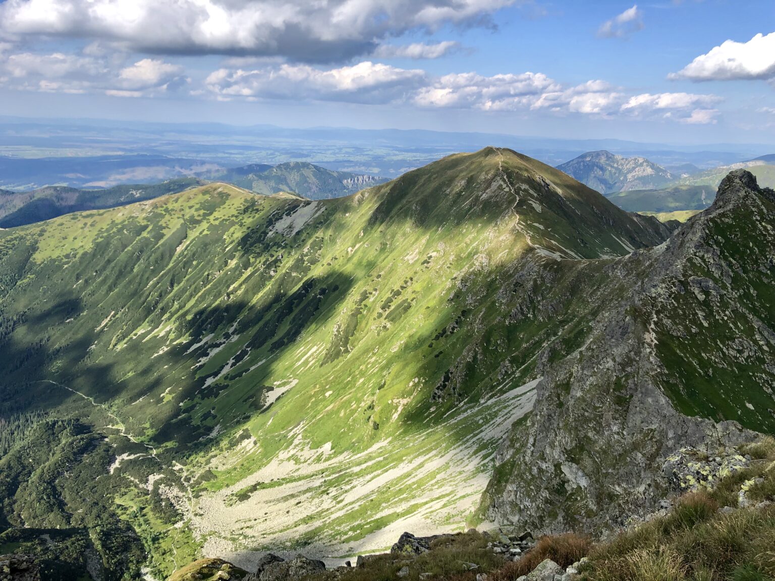 Roháče